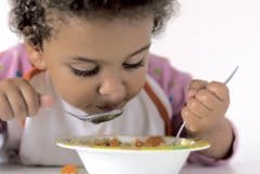 Alimentació fins al primer any