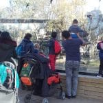 madres adolescentes salida