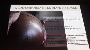 Preinfant en Maternidades Vulnerables